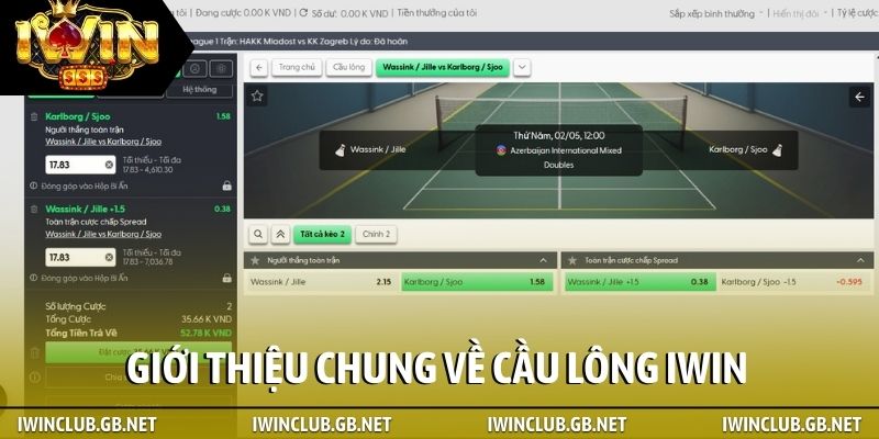 Giới thiệu chung về cầu lông iWin